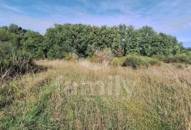 EKSKLUZIVNO ZEMLJIŠTE NA ODLIČNOJ I MIRNOJ LOKACIJI, Ližnjan, Terra