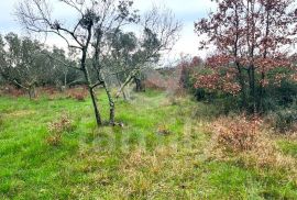 POLJOPRIVREDNO ZEMLJIŠTE U PEROJU, Vodnjan, Terrain