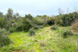 POLJOPRIVREDNO ZEMLJIŠTE U PEROJU, Vodnjan, Land