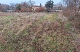 Građevinsko zemljište Prodaje se građevinsko zemljište s pogledom prema moru, blizu Kanfanara, Kanfanar, Tierra