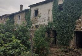 ISTRA – STARINA ZA OBNOVU, Buzet, House