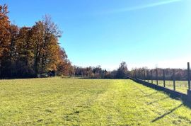 ISTRA, BARBAN, KOMBINACIJA GRAĐEVINSKOG I POLJOPRIVREDNOG ZEMLJIŠTA, Barban, Terrain