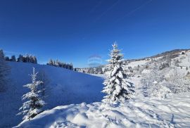 Gorski kotar, Ravna Gora, dvojna kuća 114 m2 i sanjkalište 6000 m2, Ravna Gora, Casa