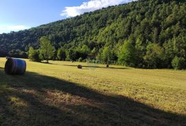 73000 m2 - Gorski kotar - uz Kupu - namjena za kamp, Vrbovsko, Terrain