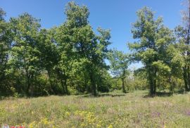 ISTRA, LABIN - OKOLICA, GRAĐEVINSKO ZEMLJIŠTE, Labin, Land