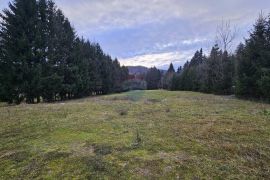 Investicijsko zemljište, Sunger, Gorski kotar, 9500 m2, Mrkopalj, Land