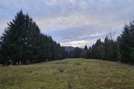 Investicijsko zemljište, Sunger, Gorski kotar, 9500 m2, Mrkopalj, Land