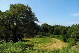 Istra, Marići, veliko građevinsko zemljište na rubu mjesta, Kanfanar, Land