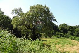 Istra, Marići, veliko građevinsko zemljište na rubu mjesta, Kanfanar, Land