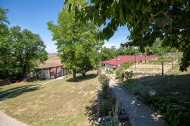 Obiteljsko imanje - Popovac/Baranja, Popovac, Land