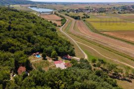 Obiteljsko imanje - Popovac/Baranja, Popovac, Land