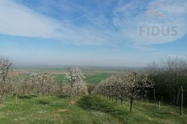 Obiteljsko imanje - Popovac/Baranja, Popovac, Land