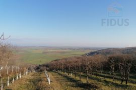 Obiteljsko imanje - Popovac/Baranja, Popovac, Land