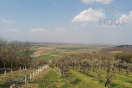 Obiteljsko imanje - Popovac/Baranja, Popovac, Land