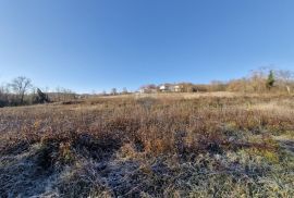 Pazin,Trviž -građevinsko zemljište turstičke namjene,zona T2, 5600m2, Pazin - Okolica, Γη