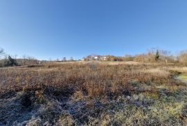 Pazin,Trviž -građevinsko zemljište turstičke namjene,zona T2, 5600m2, Pazin - Okolica, Arazi