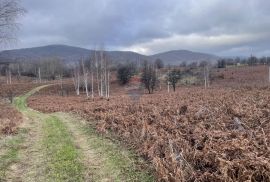 Brinje, Vodoteč - poljoprivredno zemljište, Brinje, Terrain