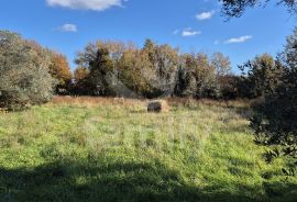 PROSTRANO POLJOPRIVREDNO ZEMLJIŠTE 300 m DO MORA, Vodnjan, Terra