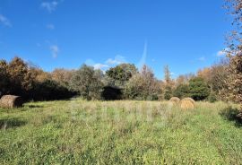 PROSTRANO POLJOPRIVREDNO ZEMLJIŠTE 300 m DO MORA, Vodnjan, Land