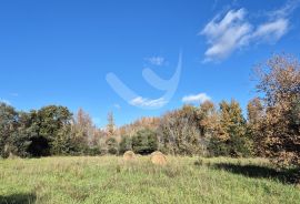 PROSTRANO POLJOPRIVREDNO ZEMLJIŠTE 300 m DO MORA, Vodnjan, Terra