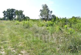 EKSKLUZIVNO ZEMLJIŠTE NA RUBU URBANIZACIJE NEDALEKO OD CENTRA, Vodnjan, Terra