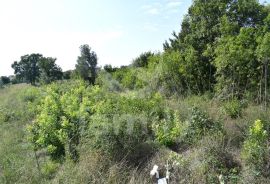 EKSKLUZIVNO ZEMLJIŠTE NA RUBU URBANIZACIJE NEDALEKO OD CENTRA, Vodnjan, Terra