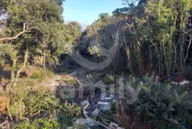 PROSTRANA ŠUMA SA POGLEDOM NA MORE NA MIRNOJ LOKACIJI, Marčana, Terra