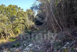 PROSTRANA ŠUMA SA POGLEDOM NA MORE NA MIRNOJ LOKACIJI, Marčana, Terra