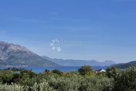 Fantastična prilika za vlastiti vinograd ili voćnjak, Korčula, Land