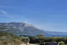 Fantastična prilika za vlastiti vinograd ili voćnjak, Korčula, Land