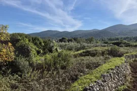 Fantastična prilika za vlastiti vinograd ili voćnjak, Korčula, Land