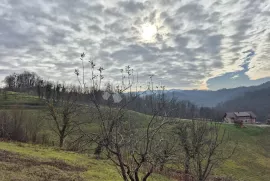 Vikend kuća sa prostranim zemljištem i garažom, Donja Stubica, Дом