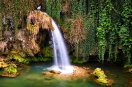 Fantastična prilika za savršenu vlastitu zelenu Oazu, Slunj, أرض