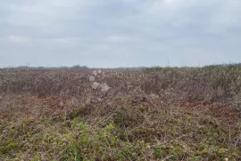 Zemljište s potencijalom, Petrijanec, Land