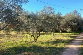 Građevinsko zemljište s maslinikom u Loborici, Marčana, Zemljište