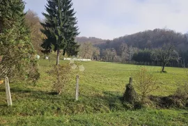 Rijetko očuvana kurija iz 19. stoljeća, Krašić, Casa