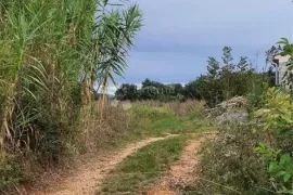 Poljoprivredno zemljište Rovinj, Rovinj, Terra