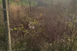 Zemljište na top lokaciji - DUGI VRH, Gornji Kneginec, أرض