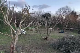 Prekrasna parcela u šarmantnom Šišanu, Ližnjan, Земля