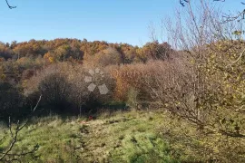 Obiteljska kuća u mirnom selu, 5 spavaćih soba, Pazin - Okolica, Ev