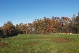 Prostrano kombinirano zemljište, 4300 m², Žminj, Land