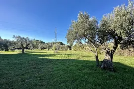 EKSKLUZIVNO - Prostrano zemljište na lijepoj lokaciji, Vodnjan, Terreno