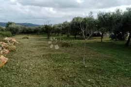 Prostrano građevinsko zemljište s maslinama, Marčana, Arazi