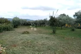 Prostrano građevinsko zemljište s maslinama, Marčana, Terra