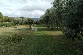 Kuća s bazenom i velikom građevinskom parcelom, Marčana, Haus