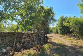 Poljoprivredno zemljište 450 metara od plaže, Vodnjan, Land