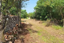 Poljoprivredno zemljište 450 metara od plaže, Vodnjan, Land