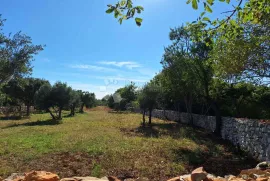 Poljoprivredno zemljište 450 metara od plaže, Vodnjan, Tierra