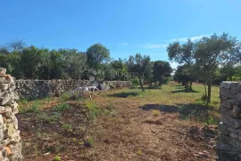 Poljoprivredno zemljište 450 metara od plaže, Vodnjan, Land