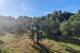 ZABLAĆE - ŠIBENIK - MASLINIK, Šibenik - Okolica, Terreno